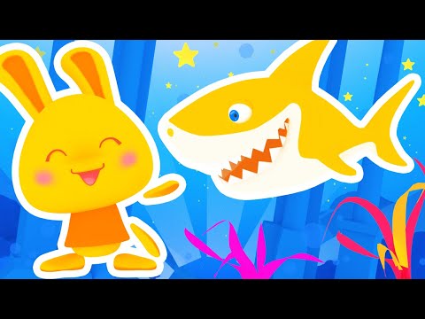Baby Shark | Chansons Danses Bébé Enfants | Comptines Titounis