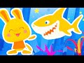 Baby Shark Chansons Danses Bébé Enfants Comptines Titounis