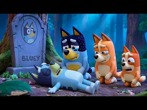 What Went Wrong in the Spider Game?! 😲🕷️ Bluey & Bingo Chase Chaos | Bluey Funny Animation