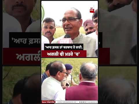 ਆਹ ਫ਼ਸਲ ਤਾਂ ਬਰਬਾਦ ਹੋ ਗਈ, ਅਗਲੀ ਵੀ ਖ਼ਤਰੇ 'ਚ - ਕੇਂਦਰੀ ਮੰਤਰੀ ਸ਼ਿਵਰਾਜ ਚੌਹਾਨ