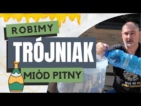Robimy miód pitny. Najprostszy przepis na Trójniak!