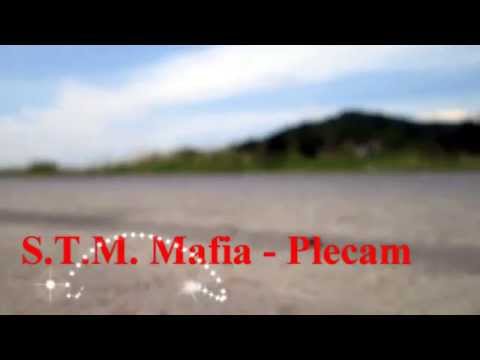 S.T.M. Mafia -  Plecam