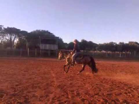 La Castellana Gaucho