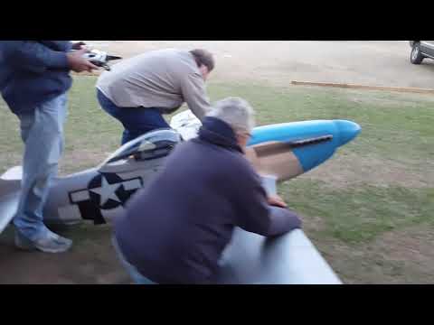 Fisher Giant 1/3 Scale P51