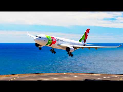 AIRBUS A330-200 WINDY SMOOTH LANDING at Madeira Airport