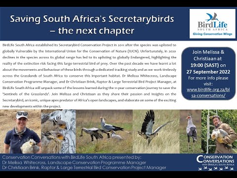 Conservation Conservations: Saving SA's Secretarybirds - Drs M Whitecross & C Brink (27Sep22)