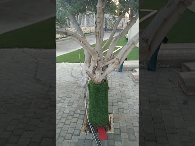 Vídeo relacionado con Furiaz Bandera de jardín pequeña con diseño de búho de invierno con bayas rojas, casa de nieve, patio, césped, bandera decorativa de ramas de árbol, decoración exterior del hogar, copo de nieve,