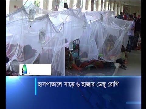 হাসপাতালে সাড়ে ৬ হাজার ডেঙ্গু রোগি
