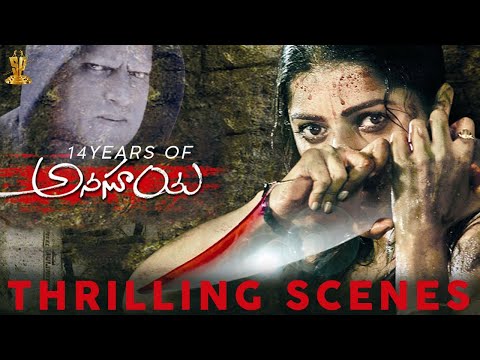 Thrilling Scenes Of Anasuya || #14YearsOfAnasuya || Bhumika Chawla, Ravi Babu || Suresh Productions