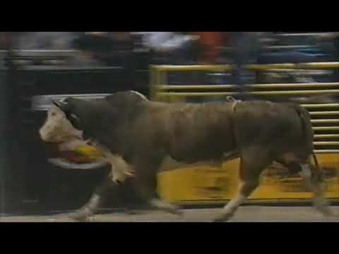 Rodney Lidgard vs Twist & Shout - 95 PBR Finals (87.5 pts)