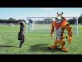 Kellogg S Frosted Flakes Little Leauge 2014