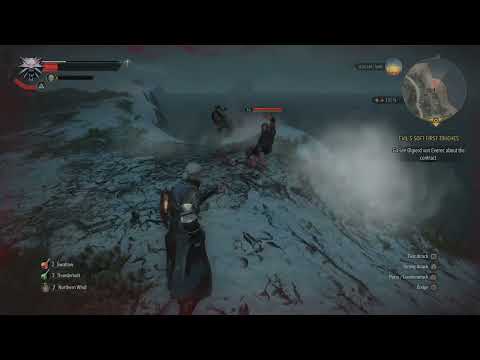 The Witcher 3: Wild Hunt platinum trophy!