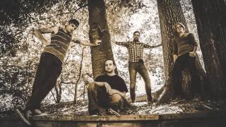 Admiral - Fear of Falling