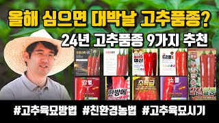 2024년 고추품종 종류 추천 복합내병성 극대과 팜한농 농우바이오 바른 흥국 시드 아시아종묘 육묘방법