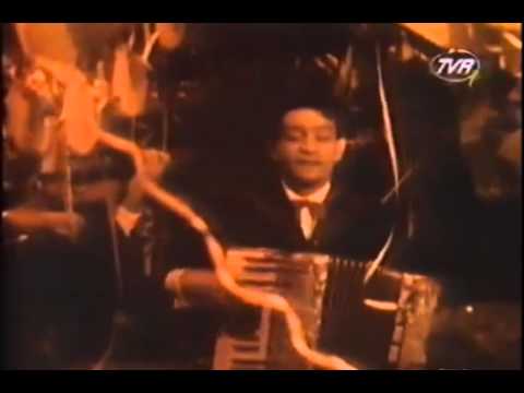 Fărămiţă Lambru - Foaie verde măr domnesc