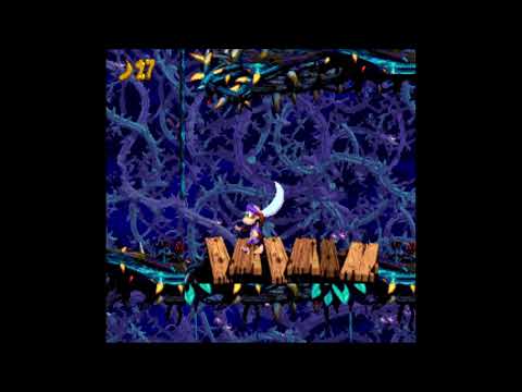 Donkey Kong Country 2 Unveiled