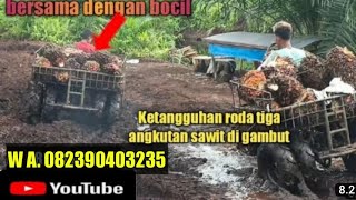 Download lagu Uji coba ketangguhan roda tiga angkut sawit di jalan gambut siak mp3