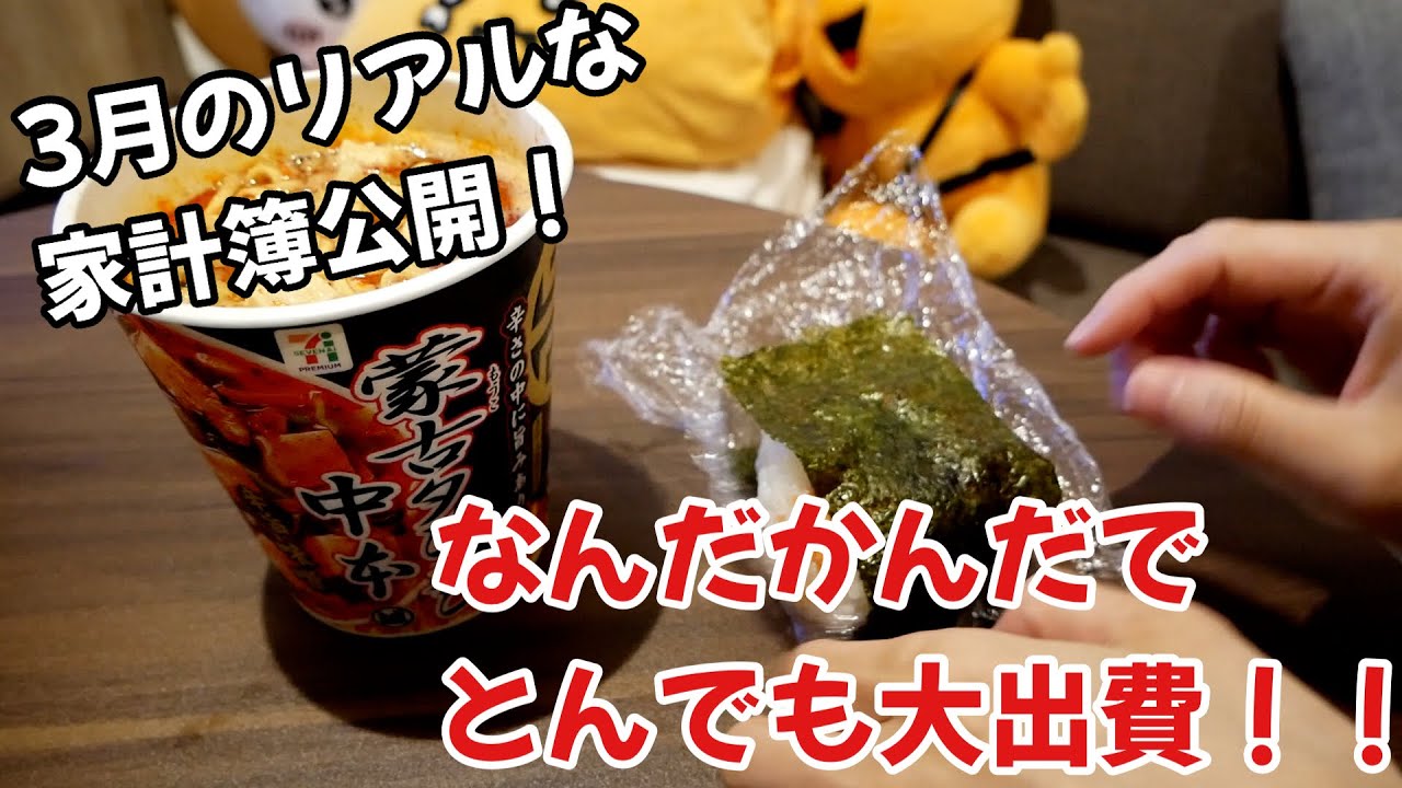 3月のリアルな変動費家計簿公開！ファスティングはやるもんじゃないし、ヤオコーで色々買ってきてました！【家計簿vlog最終回】