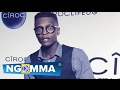 SWEET BANANA JOSE CHAMELEONE 2017