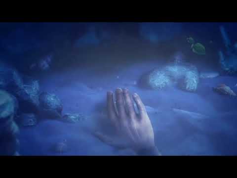 Hidden Expedition: Lost Video