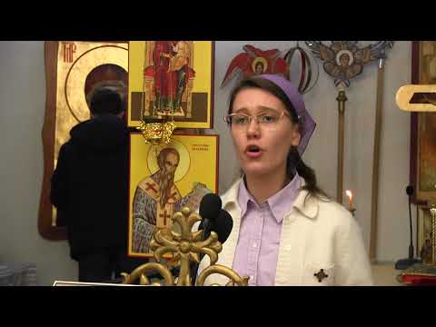 Rebeca Arădoaie - Dacă rodul tău (poezie)