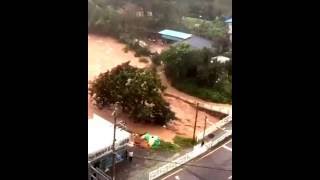 부산·경남을 강타한 18호 태풍 '차바'에 피해 속출⑥