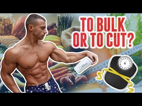 Should You Bulk Or Cut? Watch This First!