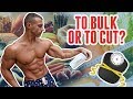 Should You Bulk Or Cut? Watch This First!
