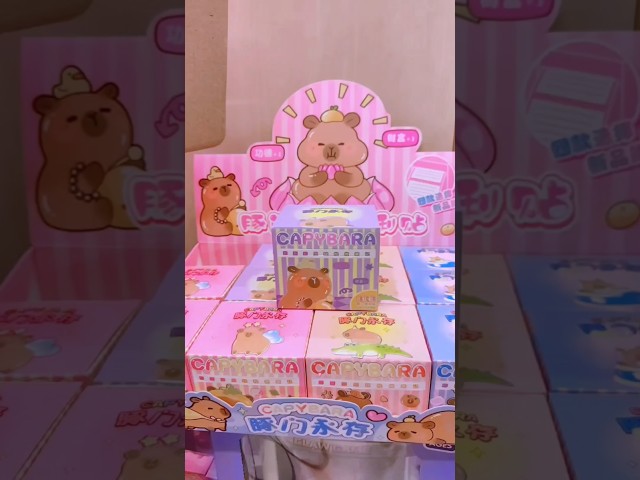 Vídeo relacionado con JWTRSVTY 86PCS Capybara Party Favour Supplies, Capybara Cumpleaños Fiesta Regalo, Capybara Regalos De Fiesta Niños, Incluye Pulseras Bolsas De Regalo llaveros pegatinas, para Infantil Cumpleaños Decor