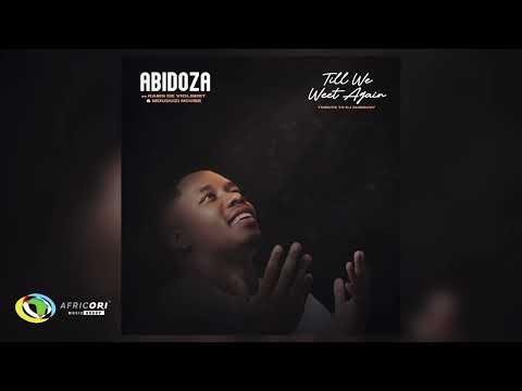 Abidoza - Till We Meet again (Tribute to DJ Sumbody) [Ft. Rams De Violinist & Mduduzi Ncube] (Audio)