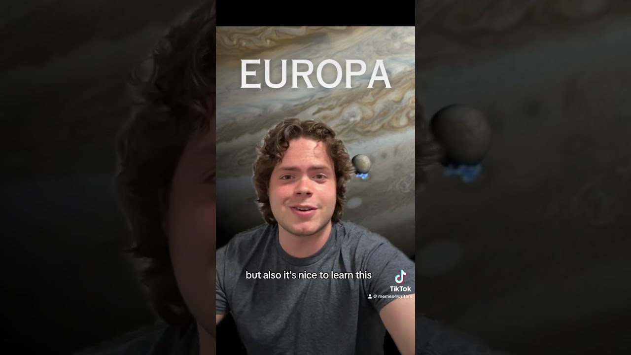 Apa Itu Feedback Dalam Wattpad