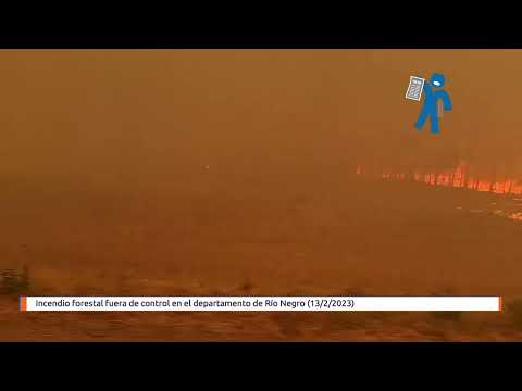 Incendio forestal fuera de control en el departamento de Río Negro (13/2/2023)