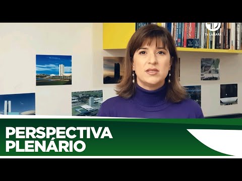 Veja o que pode ser votado no Plenário nessa semana - 10/08/20