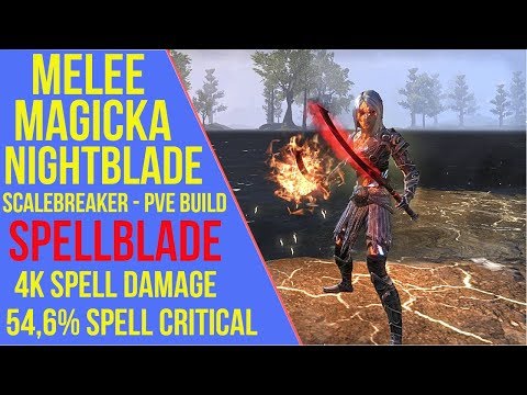 Melee Magicka Nightblade PVE Build - Spellblade - ESO Scalebreaker