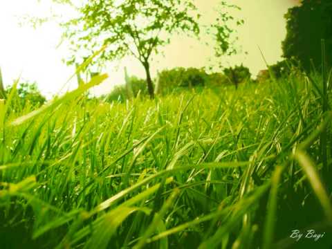 Snap! Vs. Martin Eyerer - Green Grass Grows [HQ]