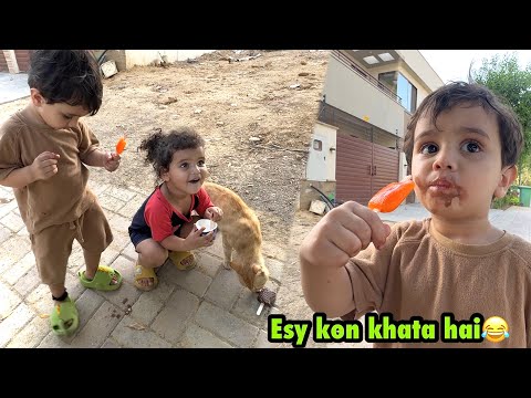 Ye Konsa tareeka hai ice-cream khane ka😂 | Cat ko khiladi sari😳