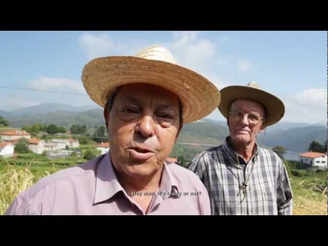 Alto do Minho (2012) [trailer] (english subtitles)