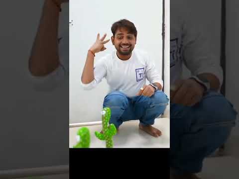 Talking With 100 Talking Cactus - 50000-