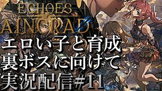 [SAOエコーズオブアインクラッド]裏ボスに向けて エロい子と育成デート[Echoes of Aincrad][PS5][実況配信][BroadCast11]