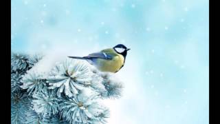 Wailin' Jennys - Arlington