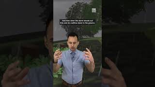 Does rain help with pollen Here’s the truth. | #shorts #newvideo #trending #subscribe #youtube