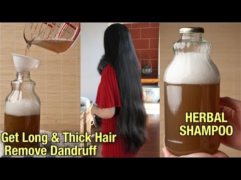 घर पर बनाये शैम्पू | बालो से जुडी कई परेशानियों को दूर करें - Homemade Shampoo for Hair growth Video