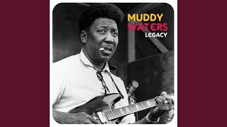 Walking Thru the Park