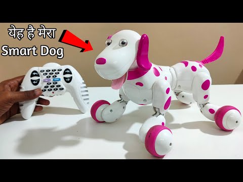 YouTube video about: How to protect remote control from dog?