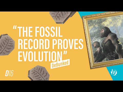 D16 | The Fossil Record Proves Evolution - Debunked