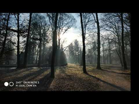 Pachelbel's Canon, Cadenza Zagreb string quartet