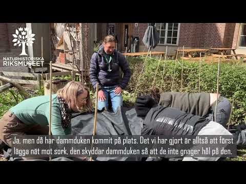 Så trivs djur i dammar