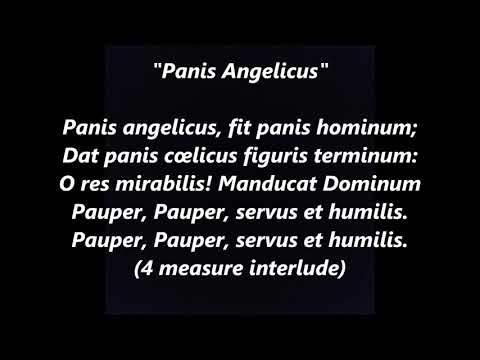 download lagu mp3 mp4 Panis Angelicus Lyrics Latin, download lagu Panis Angelicus Lyrics Latin gratis, unduh video klip Panis Angelicus Lyrics Latin
