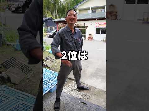 3月に芝刈りをしないのはなぜですか？冬が終わったら春の恩恵を受けましょう