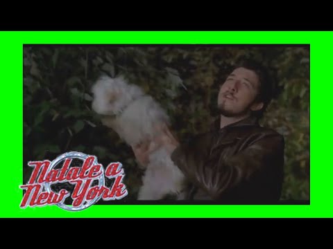 NATALE A NEW YORK | Paolo Ruffini e il Cane